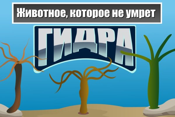 Mega поиск актуального зеркала